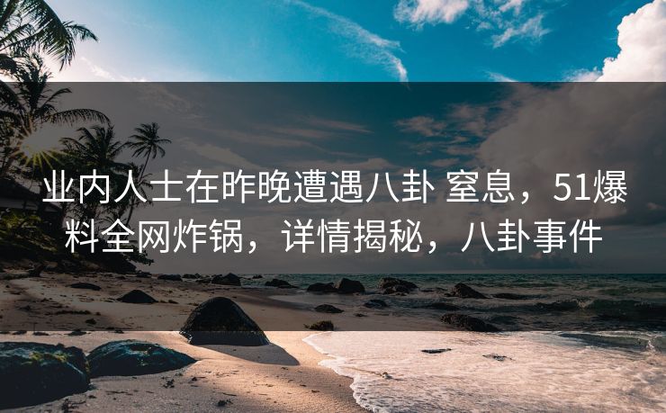 业内人士在昨晚遭遇八卦 窒息，51爆料全网炸锅，详情揭秘，八卦事件