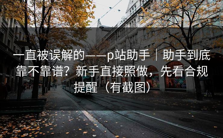 一直被误解的——p站助手｜助手到底靠不靠谱？新手直接照做，先看合规提醒（有截图）